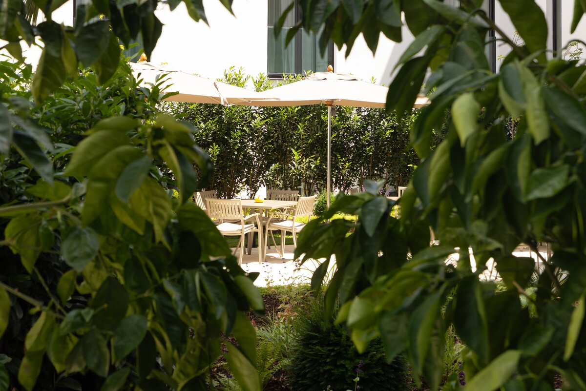 Hidden garden at EST Hotel Palais Chotek Vienna