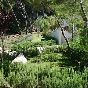 Surrounded by lush greenery