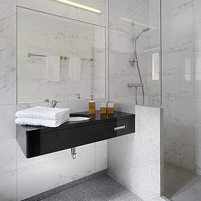 Elegant  bathrooms