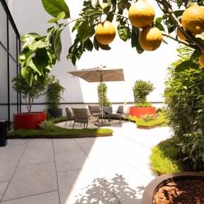 Garden detail showing orange tree and seating area