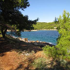 Walking along the sea