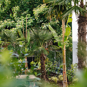 Lush green of the Inner Gardens at EST Hotel Palais Chotek Vienna