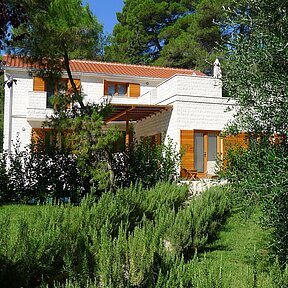 Mediterranean Garden around the villa